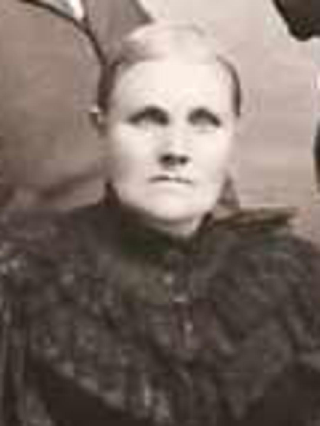 Eliza Ann Snow (1843 - 1901) Profile